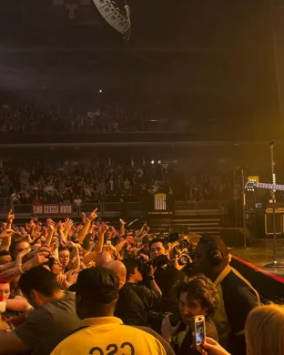 Gareth Reynolds Austin