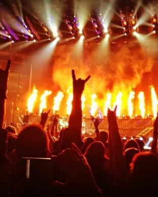 Live concert by Shoganai