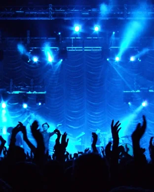 The Mosh Network: Moshiversary