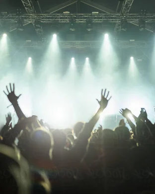 Dogs In A Pile Austin