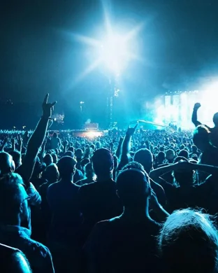 Never Ending Fall Austin