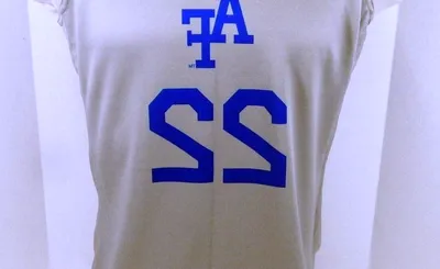 Air Force Falcons