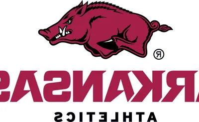 Arkansas Razorbacks