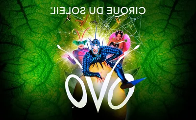 Cirque du Soleil - Ovo