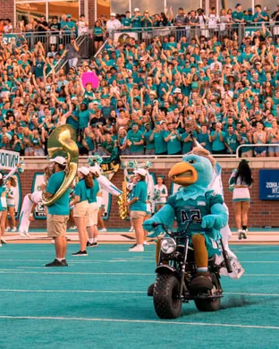 Coastal Carolina Chanticleers Basketball