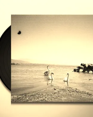 Coma Cinema & Trace Mountains