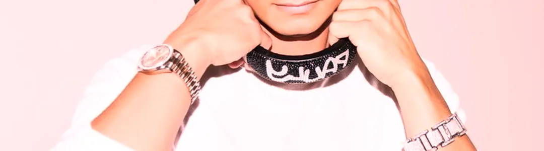 DJ Pauly D