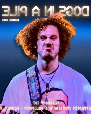 Dogs In A Pile Austin