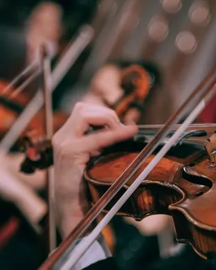 Live concert by La La Land In Concert