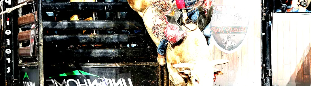 PBR - Professional Bull Riders