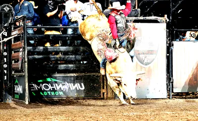 PBR - Professional Bull Riders