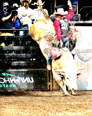 PBR - Professional Bull Riders