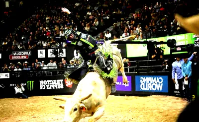 PBR Team Series