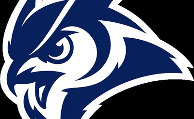 Rice Owls