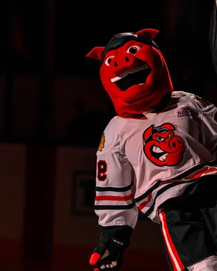 Rockford Icehogs 