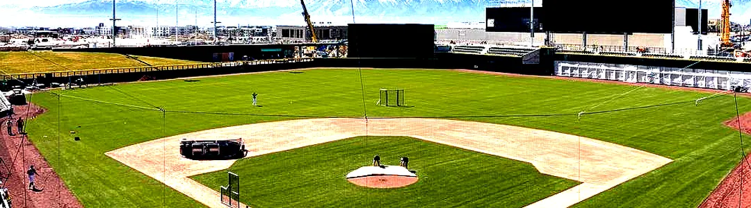 Salt Lake Bees