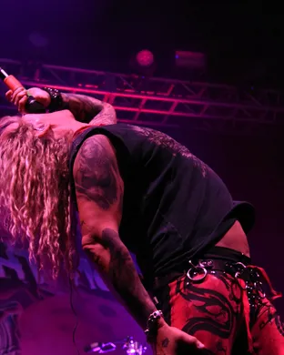 Steel Panther