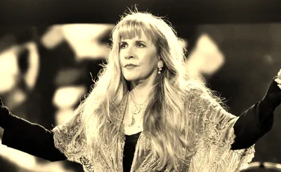 Stevie Nicks