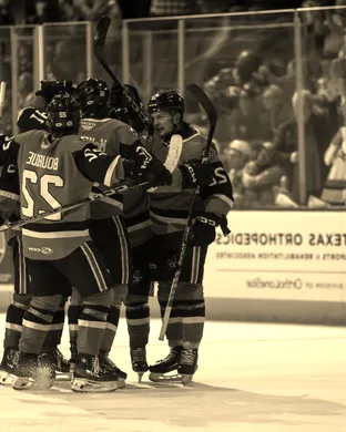 AHL Central Division Semifinals: Texas Stars vs. Chicago Wolves - Home Game 2, Series Game 2