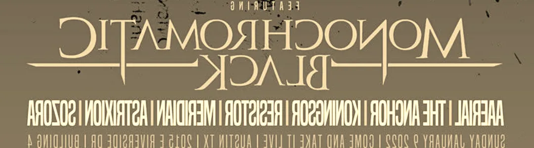 The Mosh Network: Moshiversary