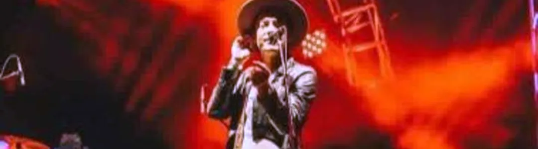 The Wallflowers