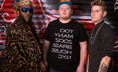 Too Many Zooz