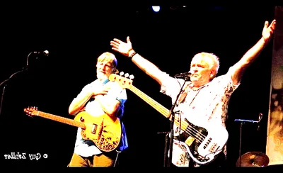 Trout Fishing In America