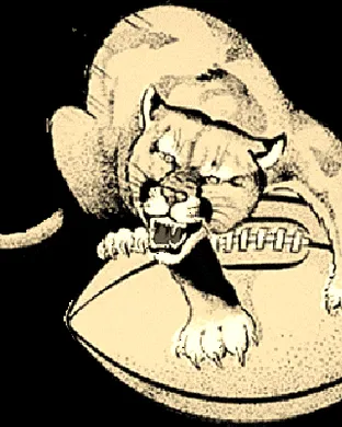 Washington State Cougars