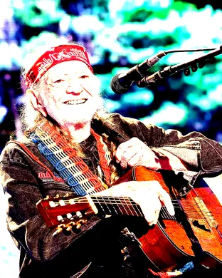 Willie Nelson's 4th of July Picnic and Fireworks