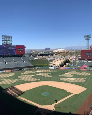 Good Good Championship Austin