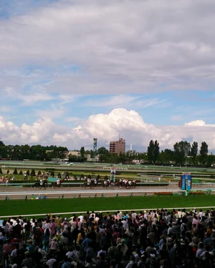 The Ferrari Challenge