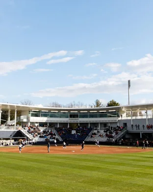 Brown Bears Softball