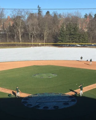 Wichita State Shockers Women's Softball