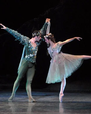 International Ballet Stars: The Sleeping Beauty